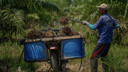 Petani Sawit Keluhkan Sulitnya Jual Kredit, SPKS Desak RSPO Tinjau Ulang Mekanisme Sertifikasi