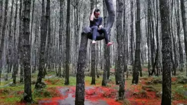 Hutan Pinus Kayon di Karanganyar