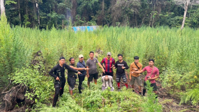 Demi Hutang, Ibu, Anak serta Petani Ganja Ditangkap Polres Gayo Lues