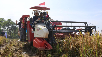 Panen Padi Hasil Budidaya Mandiri, Bulog Terapkan Smart Farming di Karawang