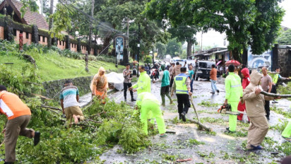 Hujan Deras Disertai Angin Kencang di Salatiga, Tumbangkan Pohon dan Terbangkan Atap Rumah Warga