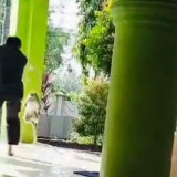 Penjaga SMKN 2 Bangkalan Diserang Monyet Liar saat Usir dari Musala