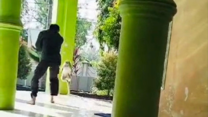 Penjaga SMKN 2 Bangkalan Diserang Monyet Liar saat Usir dari Musala