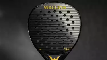 Wallich 24K Gold Custom