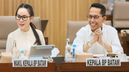Realisasi Investasi Batam Impresif di Rp54,7 Triliun atau 91%, Capaian Positif Jelang Akhir Tahun