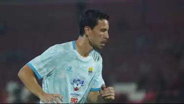 Pemain Persib Bandung, Thom Haye