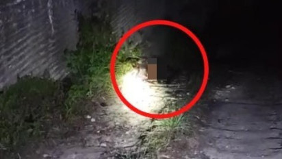 Seorang Pria di Pamekasan Ditemukan Tewas Dibakar Orang Tak Dikenal