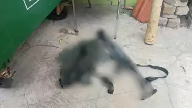 Ada Ledakan di SMAN 72 Jakarta, Ditemukan Senjata dan Ada Tulisan Selamat Datang di Neraka