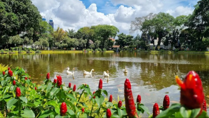 4 Rekomendasi Taman Cantik di Jakarta Pusat yang Wajib Kamu Kunjungi, Bisa Olahraga dan Bengong