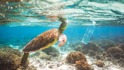 Misi Laut Bersih Dimulai: Indonesia–Taiwan Satukan Inovasi dan Riset Hadapi Krisis Sampah Laut