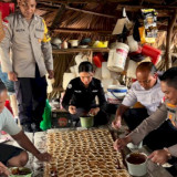 Menilik Perubahan Sopi ke Gula Lempeng di Desa Benu, Warga: Kami Lebih Tenang, Tak Takut Lagi Dikejar Polisi