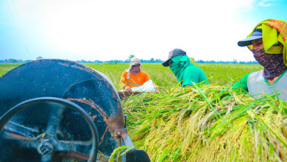 Komisi IV DPR RI Apresiasi Capaian Produksi Beras di Era Mentan Amran