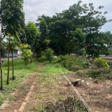 Warga Ngaku Resah Taman Daan Mogot Diduga Jadi Tempat Prostitusi Gay, Akui Lokasi Tertutup Pohon dan Kurang Penerangan