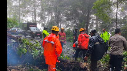 Tebing di Jalur Wisata Telaga Sarangan Longsor, Akses Jalan Sempat Tertutup