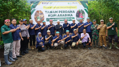 PTPN I Regional 5 Tanam Perdana 293,57 Hektare Kopi Arabika di Java Coffee Estate Bondowoso