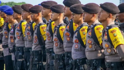 Akademisi Tegaskan Polisi Menduduki Jabatan Sipil Tak Langgar Konstitusi: Sepanjang Berdasarkan Penugasan Kapolri, Sah!