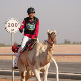 Bersama Sogan, Cerita Ikhwan Debut Tanding Balap Unta di ISG 2025