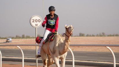 Bersama Sogan, Cerita Ikhwan Debut Tanding Balap Unta di ISG 2025