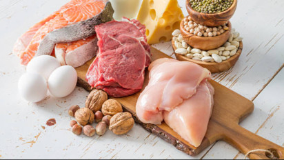 Dari Kandang ke Meja Makan: Bagaimana Peternakan Menjadi Penentu Masa Depan Gizi dan Ketahanan Pangan Nasional