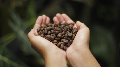 Program Kosabangsa 2025 Dorong Pemberdayaan Petani Kopi Jengglungharjo