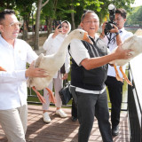 Dukung Pelestarian Alam, Kajati Sumsel dan Raffi Ahmad Hidupkan Kembali Satwa di Kambang Iwak