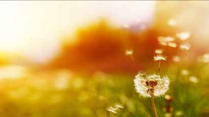 7 Solusi Gaya Hidup Sehat: Cara Membangun Ruang Bersih, Sehat, dan Nyaman dari Rumah hingga Tempat Ibadah