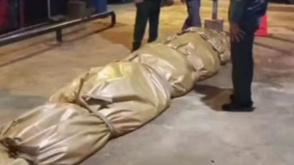 Kisah Buaya Raksasa Si Undan, Mati Dalam Pemeliharaan Warga, Dalam Perut Ditemukan Plastik, Pisau, Tombak Hingga Kaca Tabung Televisi