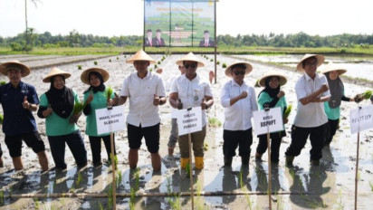 Mendeteksi Populasi OPT, Kementan Luncurkan Kampung Peramalan OPT di Sleman