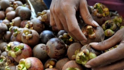 Kabupten Purwakarta Wujudkan Ekonomi Hijau