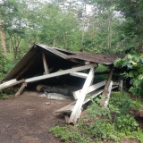 80 Hektare Tanaman Kopi Rusak di Ijen, Proses Hukum Berjalan