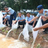 Lanud Sri Mulyo Herlambang Palembang Budidaya 10.000 Bibit Ikan Emas