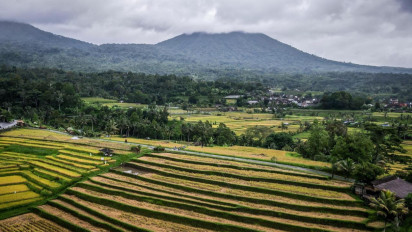 Desa Wisata Jatiluwih Bali Jadi Destinasi Wisata Terbaik Dunia Memanjakan Turis, Referensi Sasaran Libur Nataru 2025