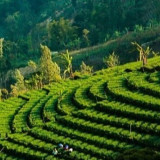 Family Friendly Banget! Ini 7 Tempat Wisata di Majalengka Cocok buat Healing Keluarga untuk Akhir Tahun 2025