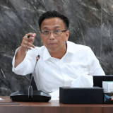 Kemenko Pangan Tegaskan Tidak Pernah Beri Izin Impor Beras ke Sabang