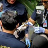 Temukan Lima Sampel Tulang Diduga Milik Alvaro Kiano, Polisi Langsung Bawa ke RS Kramat Jati untuk Diperiksa