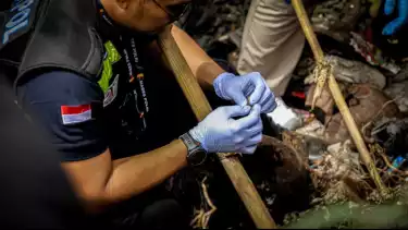 Aparat gabungan melaksanakan penyisiran kerangka Alvaro, kerahkan dua anjing pelacak, di jembatan Cilalay, Tenjo, Bogor, Jawa Barat, Rabu (26/11/2025)