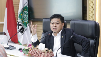 Bandara IMIP Diduga Tak Ada Bea Cukai hingga Imigrasi, DPR Minta Pemerintah Ambil Langkah Hukum