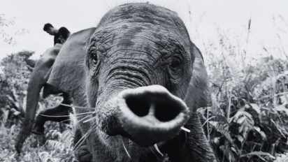 Buntut Perusakan Pos Satgas TNTN, Polda Riau Periksa Saksi dan Pastikan Tak Ada Pembiaran