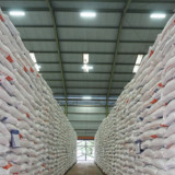 Bulog Ungkap Fakta Stok Beras Nasional di Tengah Konflik Timur Tengah, Cadangan Pangan RI Aman?