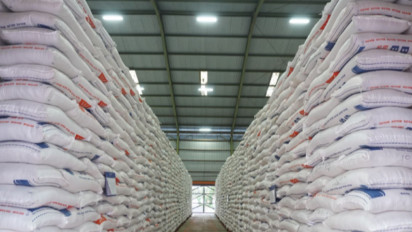 Pengamat: Indonesia Swasembada Beras, Stok Dunia Tertinggi Sepanjang Sejarah, Harga Global Anjlok!