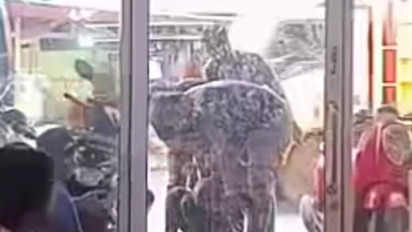 Polisi Buru DPO Pelaku Curanmor di Pelabuhan Tanjung Priok