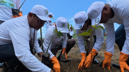Menumbuhkan Harapan dari Akar Bumi, PNM Hadirkan Program Reboisasi