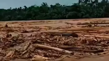 Banjir dan Longsor di Sumut Diduga Karena Illegal Logging, Ribuan Orang Jadi Korban, Kayu Gelondongan Penuhi Sungai