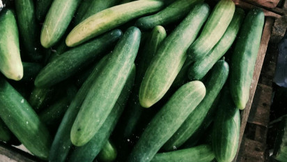 Khasiat Mentimun untuk Mengendalikan Tekanan Darah Tinggi, Lengkap dengan Cara dan Takaran Konsumsinya