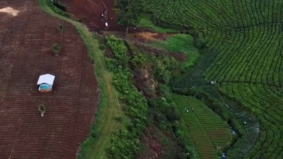 Dedi Mulyadi Geram, Lahan Perkebunan Teh di Pangalengan Hilang Digarap Pihak Berduit, Rawan Pontensi Bencana!