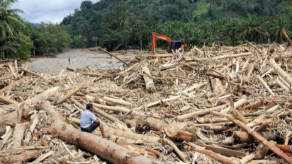 Menguak Tabir Modus Baru Illegal Logging, Mulai Pemalsuan Dokumen hingga Pembuatan LHP Fiktif