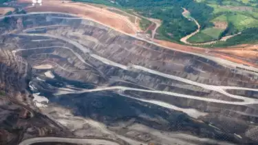 Blak-blakan, Greenpeace Sebut Pemerintah Enggan Dengarkan Masyarakat Sipil Terkait Laporan yang Mengancam Kehutanan