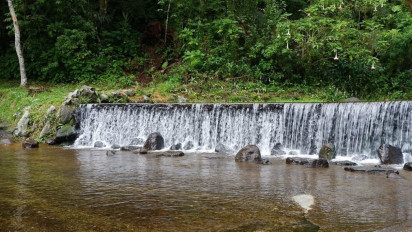Mau Liburan Nataru 2025 ke Cianjur? Kebun Raya Cibodas sebagai Destinasi Wisata untuk Refresh Pikiran