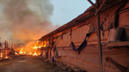Korsleting Picu Kebakaran Hebat di Kandang Ayam Brondong Lamongan