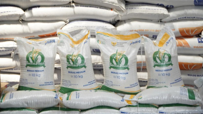 Beras Medium Aman dan Surplus, Kementan Tegaskan Impor Hanya untuk Kebutuhan Khusus dan Industri